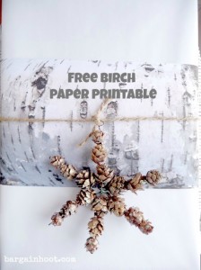 Birch bark download: gift wrapping ideas