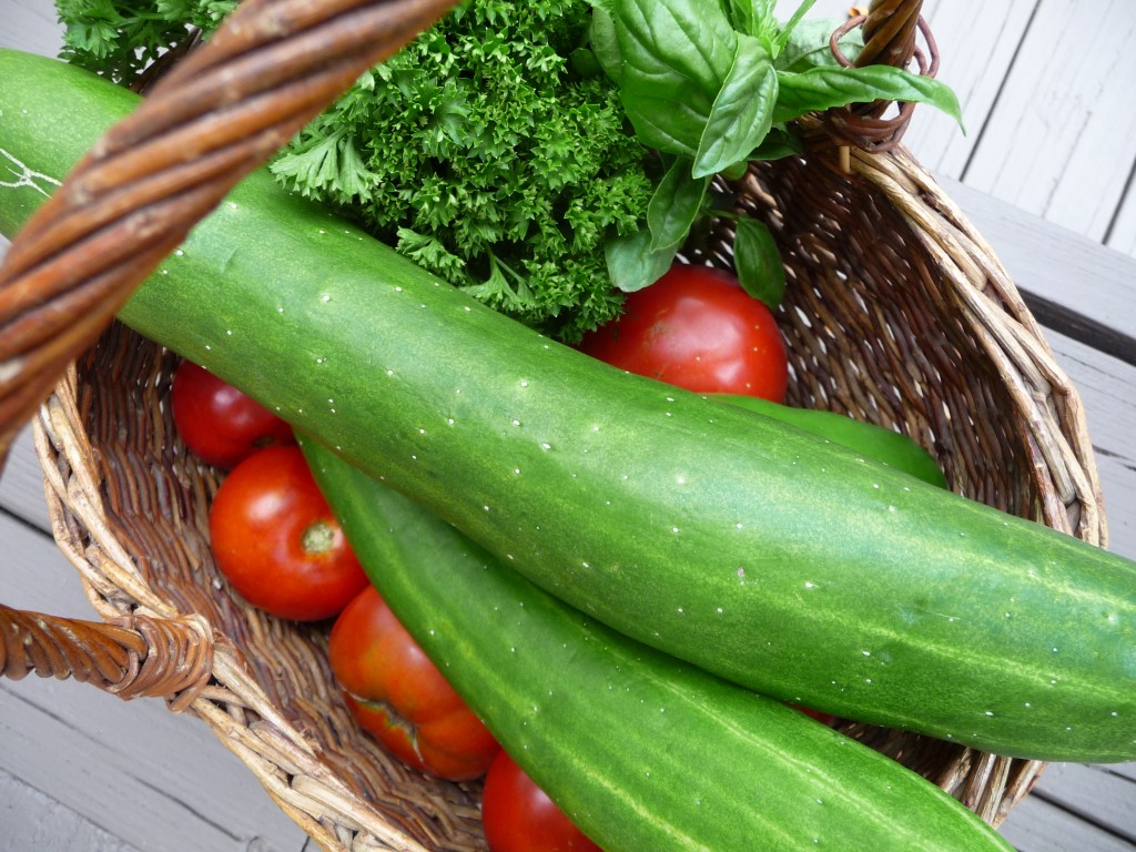 fresh vegetable basket