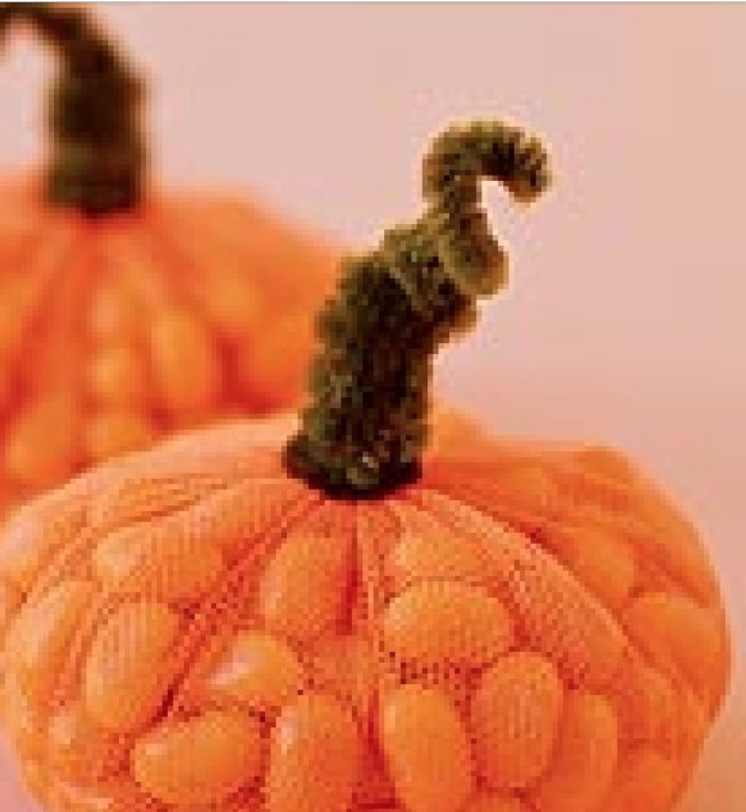 Pumpkin with a pipe cleaner stem