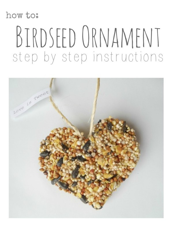 How to make a birdseed ornament